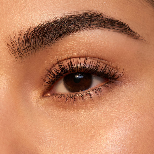 Lashes & Brows